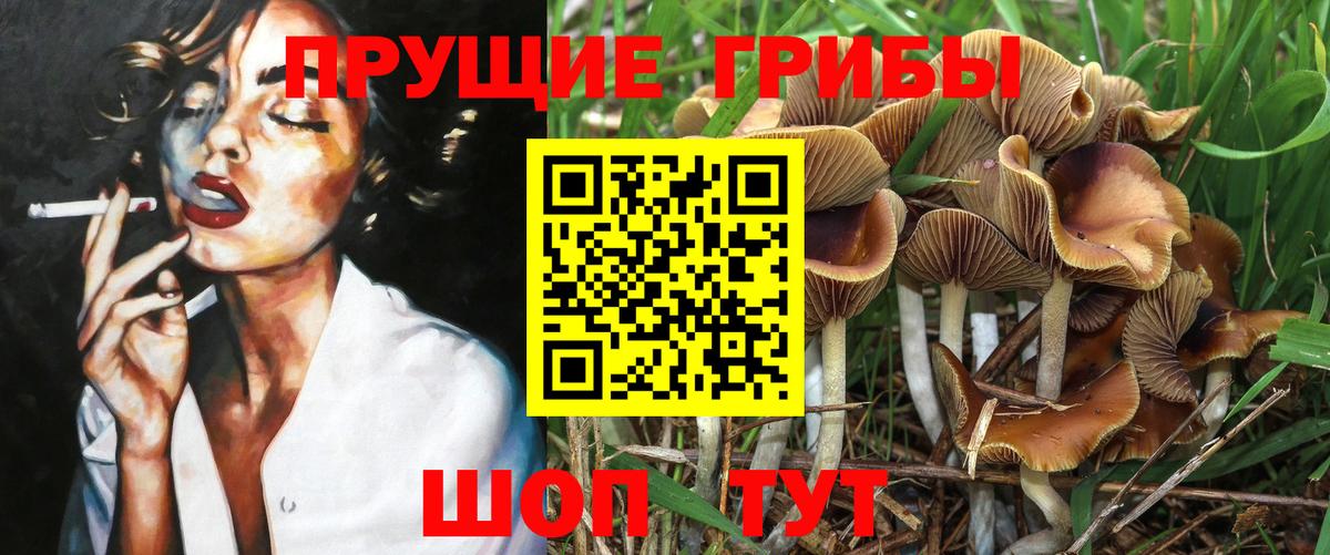 Псилоцибиновые грибы Magic Shrooms  Вход с VPN  Коммунар 