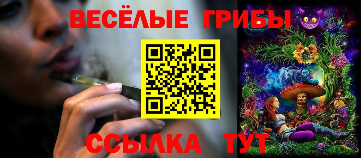 Псилоцибиновые грибы GOLDEN TEACHER Коммунар